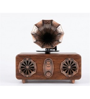 Everton Rt-572 Bluetooth Fm-Usb-Tf-Aux Şarjlı Nostaljik Radyo