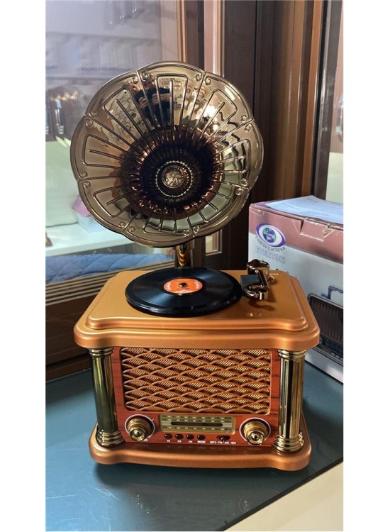 Everton Rt-586  Bluetooth Fm-Usb-Tf-Aux  Şarjlı Nostaljik Radyo