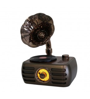 Everton Rt-704 Gramafonlu Bluetooth Fm-Usb-Tf-Aux  Şarjlı Nostaljik Radyo