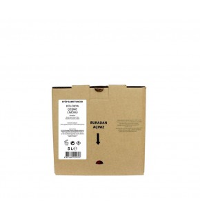 Eyüp Sabri Tuncer Çeşme Limonu  Kolonyası 5lt Bag IN Box Endüstriyel