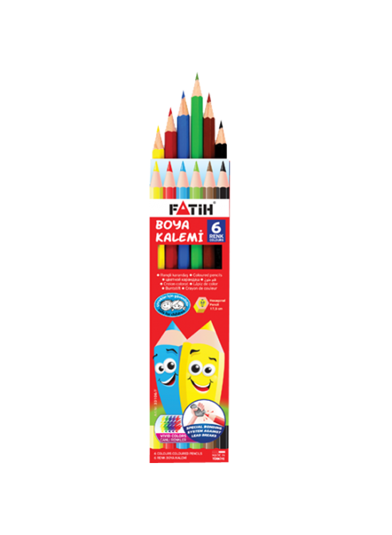 Fatih Kuru Boya Karton Kutu Tam Boy 6 Renk 33106