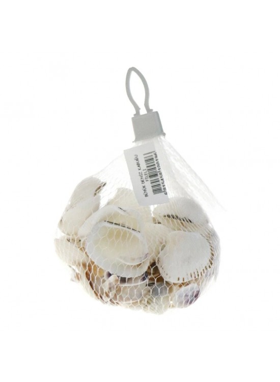 Fileli Deniz Kabuğu D0797