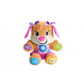 Fisher Price Eğitici Köpekçiğin Kız Kardeşi (TR) FPP83