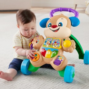 Fisher Price Lnl Yaşa Göre Gelişim