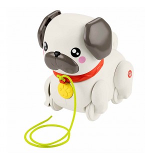 Fisher Price Minik Dostumla Yürüyüş Mtl-htw94