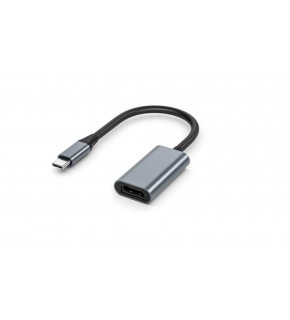 FRISBY FA-7670C Type-c - HDMI 4K 30Hz Adaptör