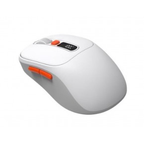 Frisby FM-294WM  Kablosuz Mouse