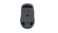 Frisby FM-296WM  Kablosuz Mouse