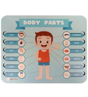 Gift Plus Ahşap Puzzle Body Parts 20x25