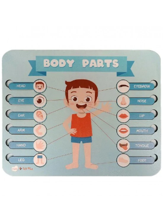 Gift Plus Ahşap Puzzle Body Parts 20x25