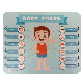 Gift Plus Ahşap Puzzle Body Parts 20x25