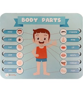 Gift Plus Ahşap Vücut Bölümleri 20x25