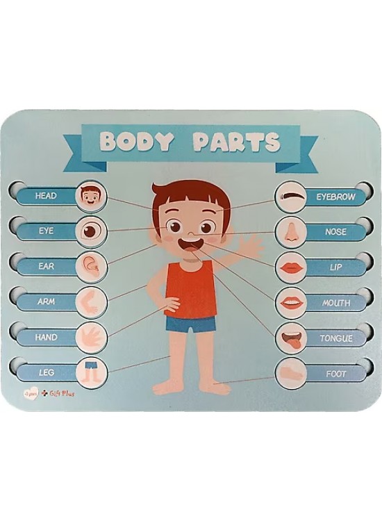 Gift Plus Ahşap Vücut Bölümleri 20x25 Gift Plus Ahşap Vücut Bölümleri 20x25