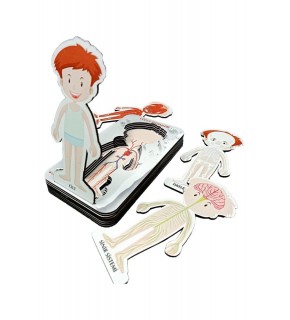 Gift Plus Ahşap Vücut Sistemleri 12x20 8 li