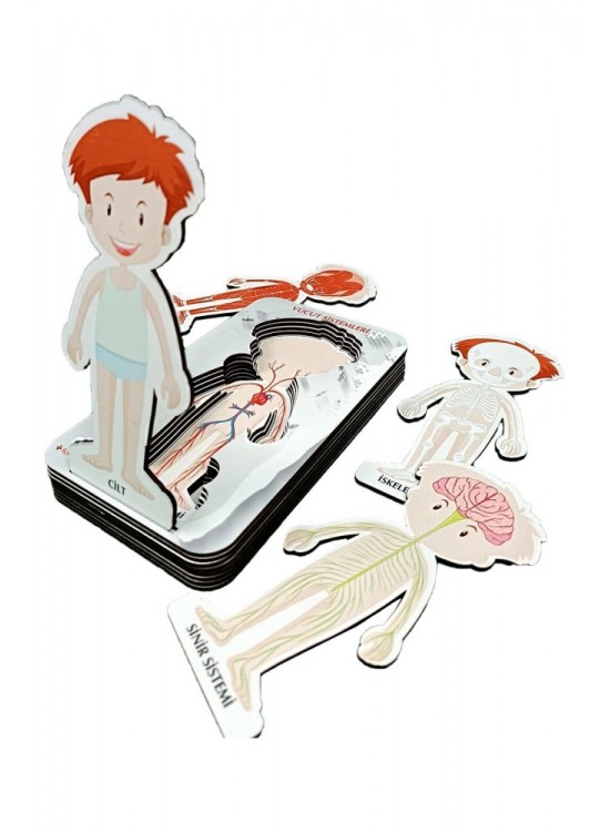 Gift Plus Ahşap Vücut Sistemleri 12x20 8 li