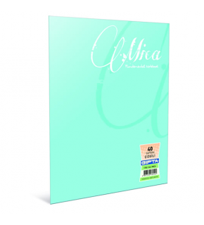 Gıpta Defter (Dikişli ) Mica Plastik Kapak Çizgili 100 YP A4 2488 (1 Adet)