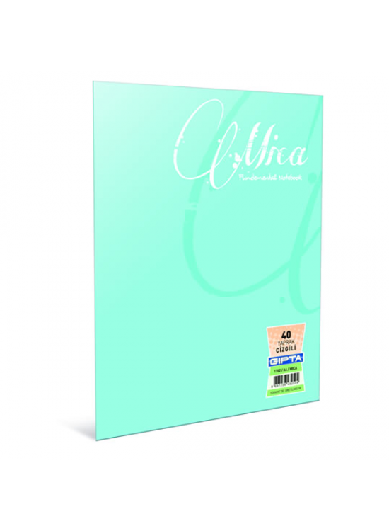 Gıpta Defter (Dikişli ) Mica Plastik Kapak Çizgili 100 YP A4 2488 (1 Adet)