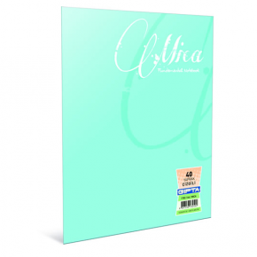 Gıpta Defter (Dikişli ) Mica Plastik Kapak Kareli 100 YP A5 2935 (1 Adet)