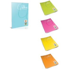 Gıpta Defter (Dikişli ) Mica Plastik Kapak Kareli 40 YP A4 1703 (1 Adet)