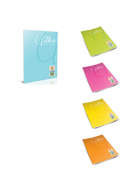 Gıpta Defter (Dikişli ) Mica Plastik Kapak Kareli 80 YP A5 2055 (1 Adet)