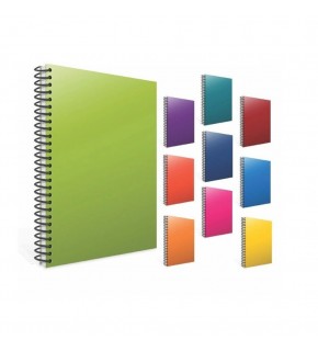 Gıpta Eko Spiralli Plastik Kapak Defter A4 60 YP Çizgili 4175