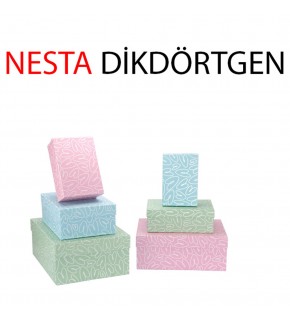 Gıpta Hediye Kutusu Nesta Dikdörtgen 6 Lı Bx06780