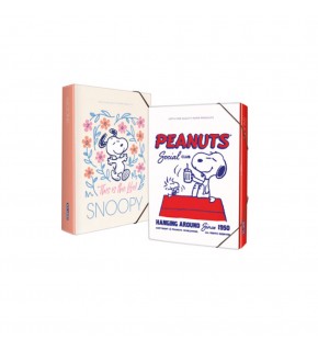 Gıpta Kutu Klasör Snoopy 25x35 7312000