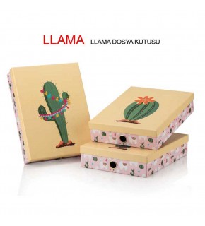 Gıpta Llama Dosya Kutusu llama Dosya Kutusu ORG8844