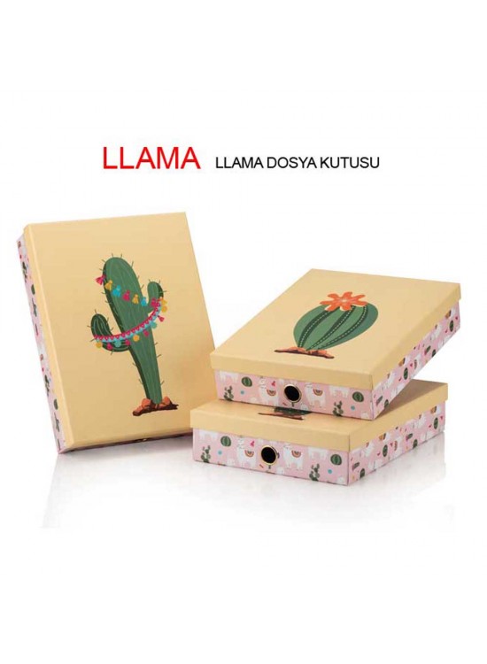 Gıpta Llama Dosya Kutusu llama Dosya Kutusu ORG8844