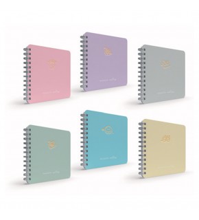 Gıpta Mıcro Notes Spiralli Sert.Kapak Def.17x24 100 Yp Çizgisiz