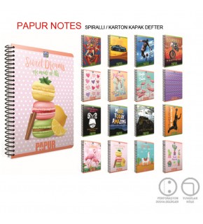 Gıpta Papur Notes Spiralli Karton Kapak Defter A4 120 YP Kareli 4967