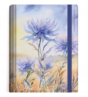 Gıpta Plan Blue Spiralli Sert Kapak Defter 13x21 120yp. Çizgili+Kareli