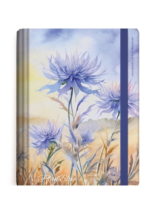 Gıpta Plan Blue Spiralli Sert Kapak Defter 13x21 120yp. Çizgili+Kareli