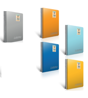 Gıpta Spiralli Defter Chromo Plastik Kapak Kareli 40 YP A4 1977