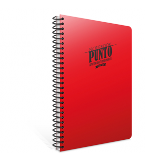 Gıpta Spiralli Defter Punto Plastik Kapak Çizgili 120 YP A4 6538