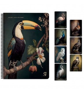 Gıpta Spiralli Karton Kapak Defter Natura 17x24 80 YP Kareli