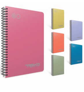 Gıpta Spiralli Plastik Kapak Defter Paw A4 80 YP Kareli