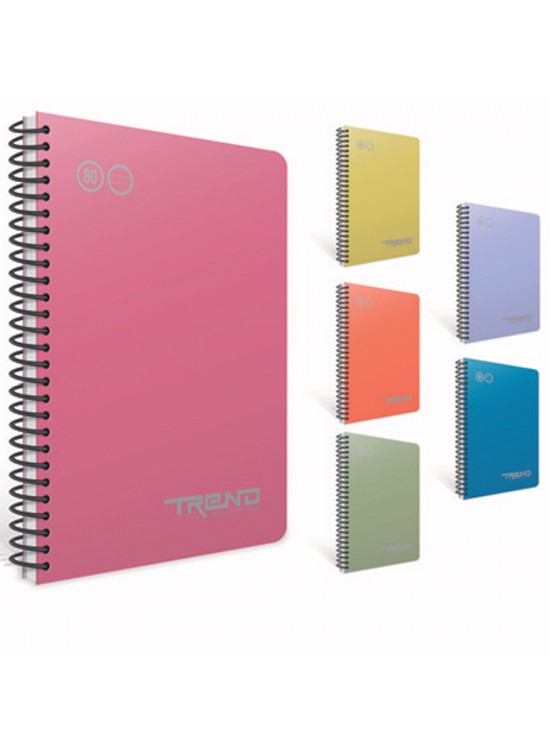 Gıpta Spiralli Plastik Kapak Defter Paw A4 80 YP Kareli