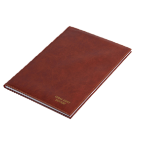 Gülpaş Evrak Kayıt Defteri Suni Deri 100 YP 22x32 375