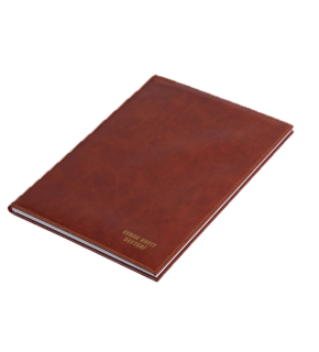 Gülpaş Evrak Kayıt Defteri Suni Deri 100 YP 22x32 375