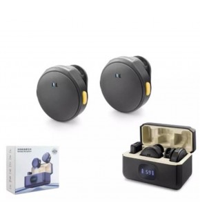 Hadron Hdx2796 Kablosuz 2-Mikrofon