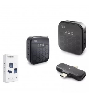 Hadron Hdx2797 Kablosuz 2-Mikrofon