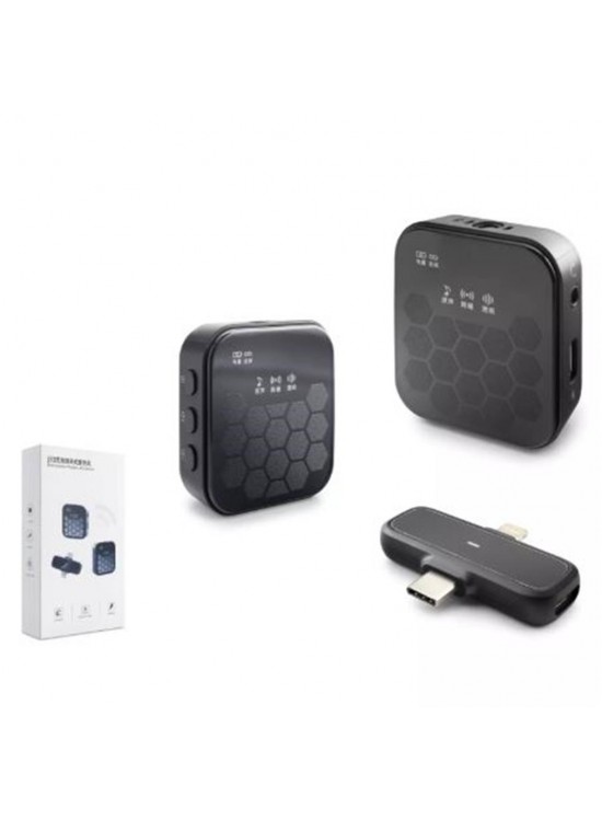 Hadron Hdx2797 Kablosuz 2-Mikrofon Hadron Hdx2797 Kablosuz 2-Mikrofon