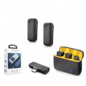 Hadron Hdx2799 Kablosuz 2-Mikrofon