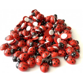 Hm Ahşap Uğur Böceği 12mm (1 Adet)