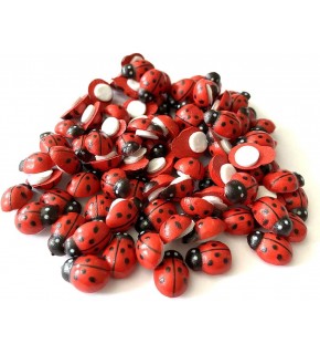 Hm Ahşap Uğur Böceği 12mm (1 Adet)