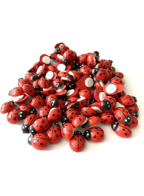 Hm Ahşap Uğur Böceği 12mm (1 Adet)