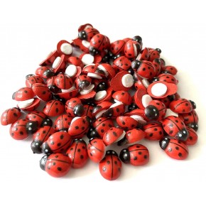 Hm Ahşap Uğur Böceği 25mm (1 Adet)