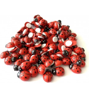 Hm Ahşap Uğur Böceği 25mm (1 Adet)