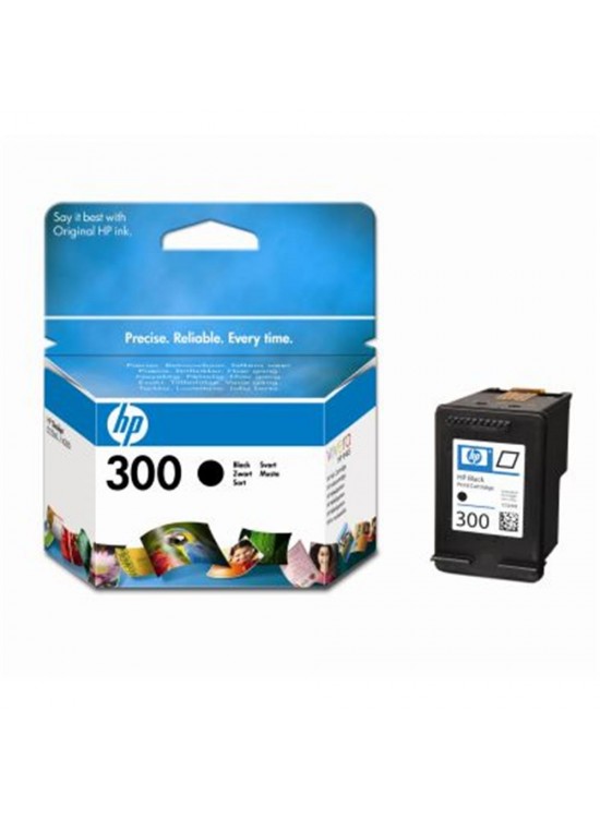 HP 300 Black Siyah Kartuş CC640EE